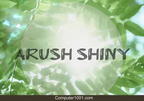 Font Arush Shiny