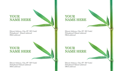 Business Cards (Bamboo) Business Cards (Bamboo)