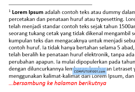 Cara Membuat Keterangan untuk Footnote dan Endnote yang Panjang Cara Membuat Keterangan untuk Footnote dan Endnote yang Panjang
