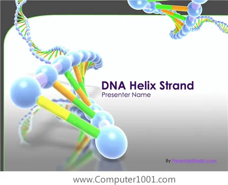 DNA Helix Strand Presentation DNA Helix Strand Presentation