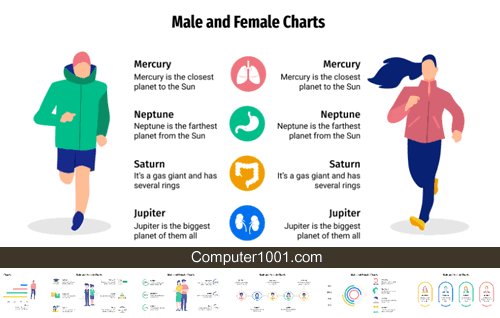 Male and Female Charts Male and Female Charts