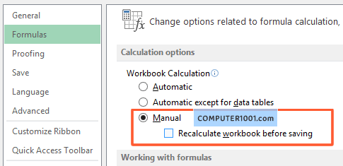 Kosongkan kotak Recalculate workbook before saving