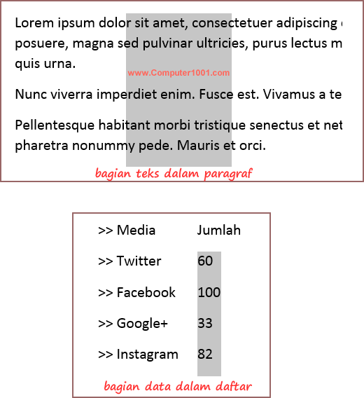 Contoh bagian teks atau data yang dipilih