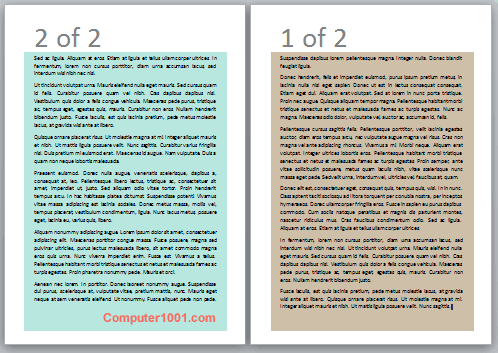 Contoh nomor halaman dibalik beserta total halaman Contoh nomor halaman dibalik beserta total halaman