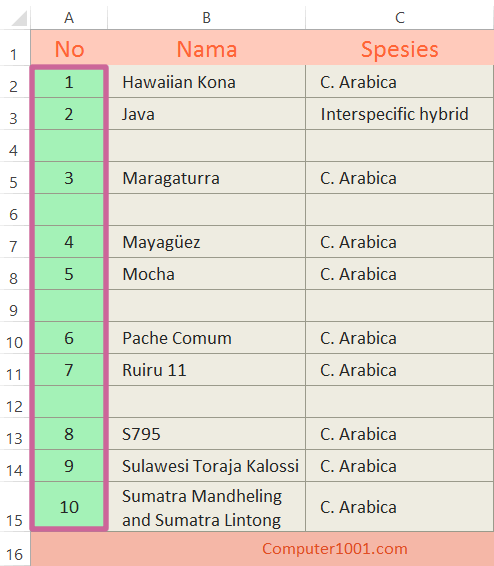 Contoh no urut baris data dengan baris kosong