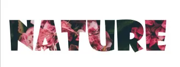 Contoh Output Merge Shapes yang Benar Contoh Output Merge Shapes yang Benar