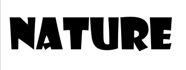 Contoh Output Merge Shapes yang Salah Contoh Output Merge Shapes yang Salah