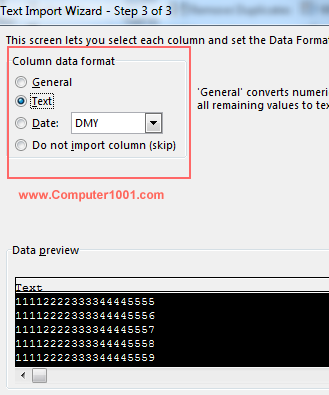 Pilih format Text pada Text Import Wizard Pilih format Text pada Text Import Wizard
