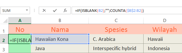 Formula no urut baris
