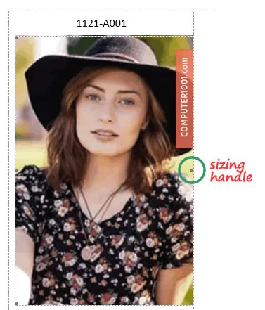 Tampilan gambar pada label pertama mail merge Tampilan gambar pada label pertama mail merge