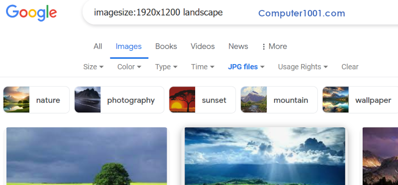 Google Image Search Google Image Search