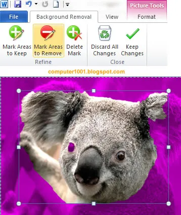 - MS Word 2010 - MS Word 2010