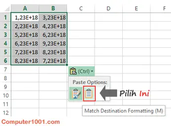 Copy Paste Angka Panjang ke Excel agar Tidak Berubah ke 1,23E+18 – Computer  1001