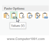 Paste Options - Values Paste Options - Values