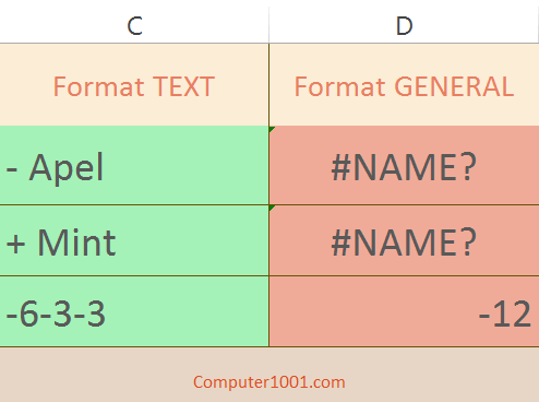 Perbandingan input di sel format text dan general Perbandingan input di sel format text dan general