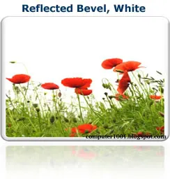 Reflected Bevel, White - Picture Styles