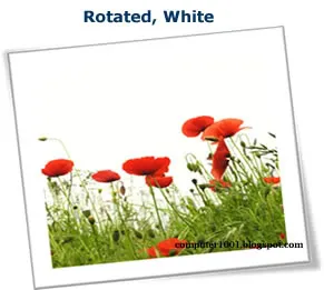 Rotated, White - Picture Styles