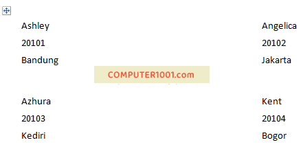 Preview Results - Mail Merge Label