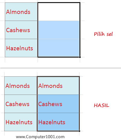 Shortcut salin data Excel dari kiri ke kanan Shortcut salin data Excel dari kiri ke kanan