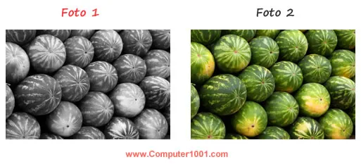 Gambar pertama setelah diubah warna